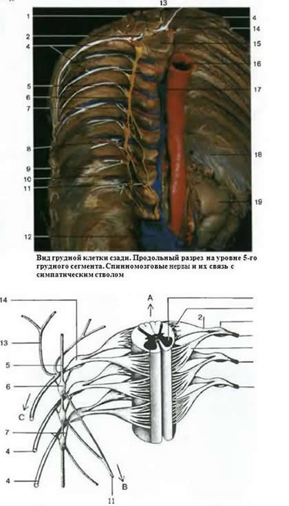 ����� ������������� ������ � ������������� �������