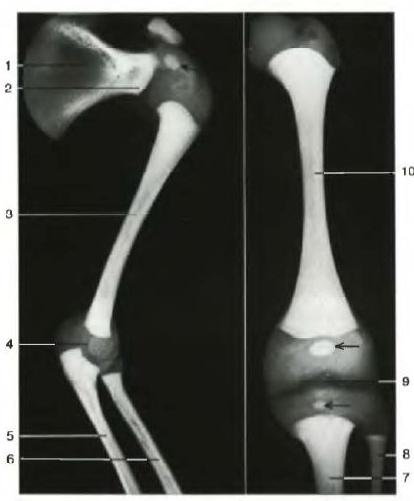 �������������� ������� � ������ ����������� ��������������. �����: ������� ����������