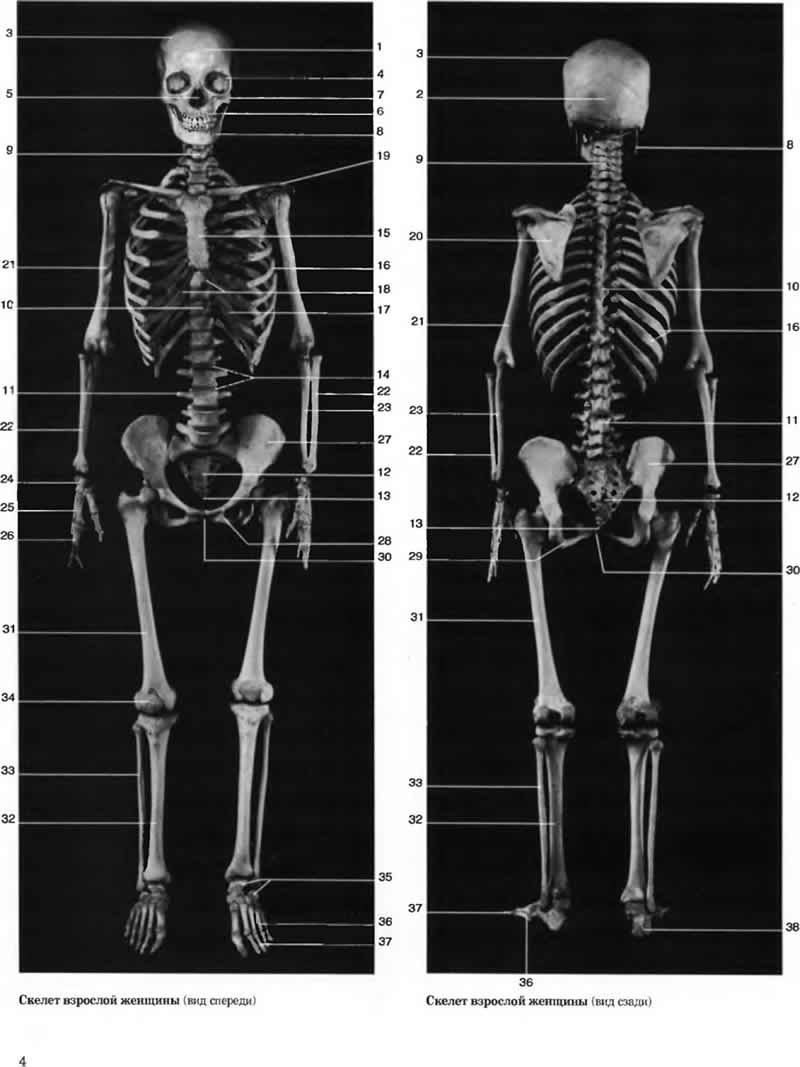 �������� ������� ��������� ��������