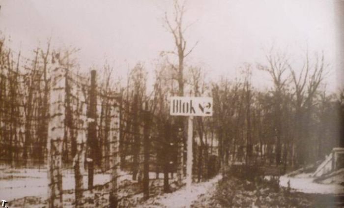 ���� � ���� �������� ��������� (162 ����)