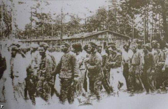 ���� � ���� �������� ��������� (162 ����)