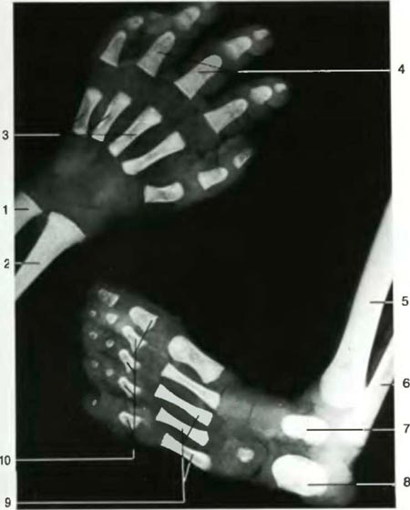 ������� ����� � ����� �������