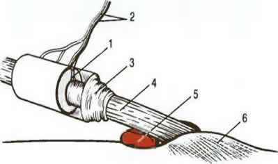 ��������� ��������� ���������