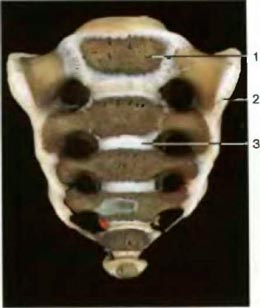 ������� � �������� ����� ���������. �������������� �����