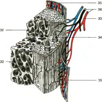 ��������� ������ ���������� ����� �����