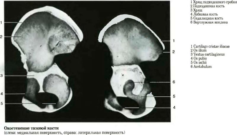 ����������� ������� �����