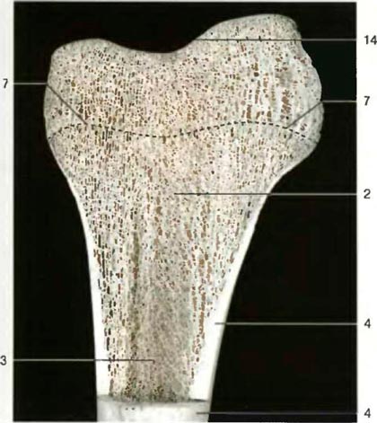 �������� ������ ����� ������������� ������ �������������� ����� ��������� ��������