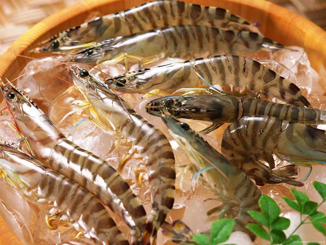 ��������- ��� ������� �������