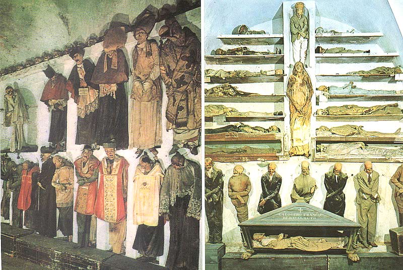 ���. ������ ������� �����, ������� ������������ � ���������� �������� �������� ������ �������� �����