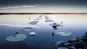 ���� �� ���� �������, ��������� � ����, �����, ��������, �����, ����