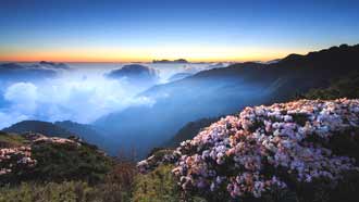 ���� �� ���� � ����� ����� ������������, ��������������� �������, ������ ����� ��-�� �������, ����