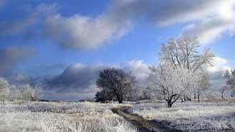 ���� �� ���� �������, ����, ������� � ����, ������� ����, �������� ����