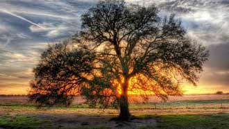 ���� �� ���� �������, ��������� �����, ������ � ����, ���, �������� �����