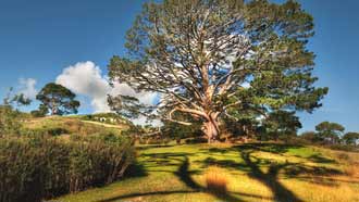 ���� �� ���� �������, �����-������ ����, �������, ����� ����