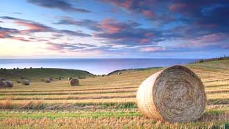 ���� �� ���� �������, �������� ������, ��������� �����, ���� ������, ���� ����, ���� ������-�����