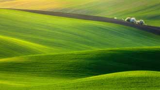 ���� �� ���� �������, ��������� ������ ����, �����, ����