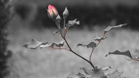 ���� �� ���� �������, ����� ���� ����, ����� ����, ���� � ����