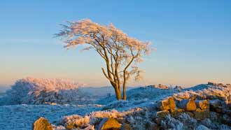 ���� �� ���� �������, ����, ������ � �����, ����� �����, ����, ����, ������ ������