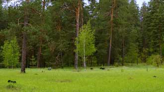 ���� �� ���� ����, �������, ������ ���, ������ � ����, �����, �������� ���