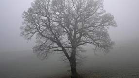 ���� �� ����, �����, ������ � ����, ������ �����, ����