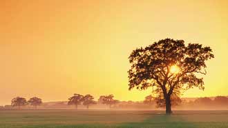 ���� �� ���� �������, ������ ��� �����, �������� ���� ������ ����� ������, ���, ����, �����