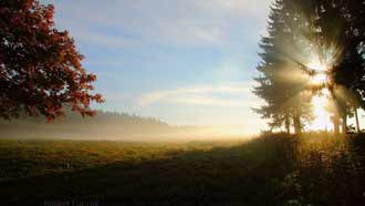 ���� �� ���� �������, ����, �����, �������� ������, ������� ���, ��� � ����, �����