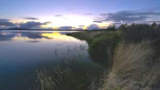 ����-���� �� ����, �������, ����� ����� �����, ������, ������ �������, ������ �� ������