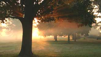 ���� �� ���� �������, ������, ���, ������, ���, ������, ���� ������