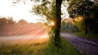 ����-���� �� ����, ���, ����, �������, ���, ������ ���, �����, ���� ������