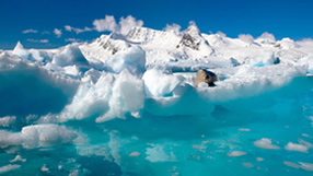 ���� �� ���� �������, ������, ���� ����, ���� � �����, ������� �����, ����� ������ � �������