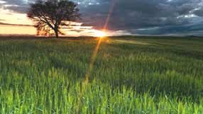 ����-���� �� ����, ������ ����, �������, �������� ������, ����, ������� ������