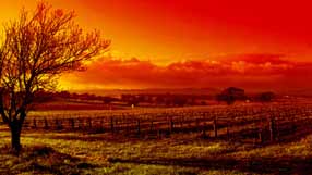 ���� �� ���� �������, ������, ����, ������� � �����, ����������� ����, ������������, ������� ����, ������ ���