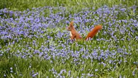 ���� �� ����, ��������, �������, ������ ����, ����� ����� � ����, ������� �����������