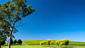 ���� �� ���� �������, ������, ������ ����, ������� ������, ������� � �����, ����������� ����, ������������, ����� ����, ������ ���