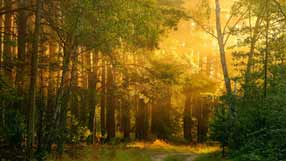 ���� �� ���� �������, ������, ����, ���, ������ ����, ����� � ���������� ����, �����