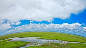 ���� �� ���� �������, ����, ����, ������� ����, ����