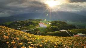 ���� �� ����, ������ ������ �����, ��������� � ������, ������� ����, �����, ������, ����