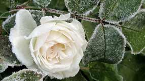 ���� �� ����, ����� ����, ����� ���� � �����, ������ � ����, ������ ���� � �����