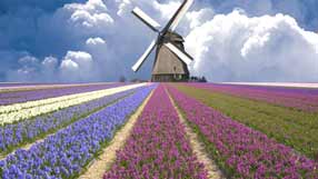 ���� �� ����, �������� � ����, ���� ��������, ������������ ���������� ����, ����� �������, ����� �������, ��������� �������, �������� ������