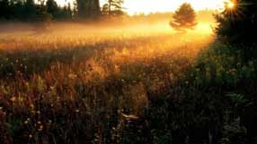 ���� �� ����, ������, ���, ������� �����, ������ ����, ���, �����, �����, ������ �������