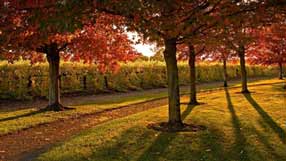 ���� �� ����, �����, ����������� ����, ������� ������ �� ������, �������, ������� ������, ������