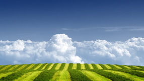 ���� �� ���� �������, ����, ������ ����, ������� ����, ����