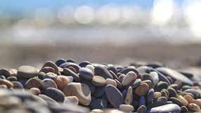 ���� �� ����, �����, �����, ������� �������, ������ �������