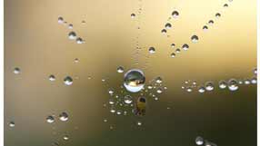 ���� �� ����, ����� �����, �������� �� �����, ���������� ���