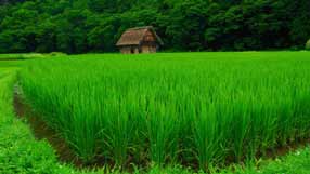 ���� �� ����, ������, �����, ����, ��� � ����