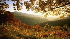 ���� �� ����, ���, �����, ����, ������� ������, ������� ���, ����