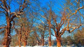 ���� �� ����, �������, ������ ���, ������� � �����, ����� ����, ������ ����������� �������