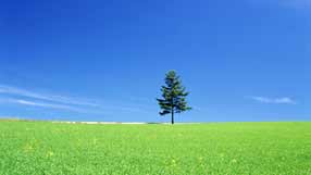 ����-���� �� ����, ������ ����, �����, �������� ����� �� ����, ����� ����