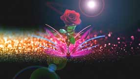 ����-���� �� ����, ����� ����, ������� ���� �� ������ ����, �������� ���� �� ����