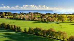 ����-���� �� ����, ������� ����, ����, ���, �������� ����������� ������